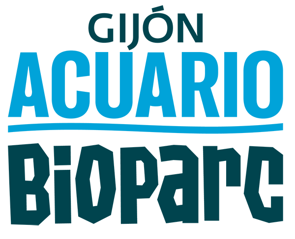 Acuario Bioparc Gijón Acuario Bioparc Gijón